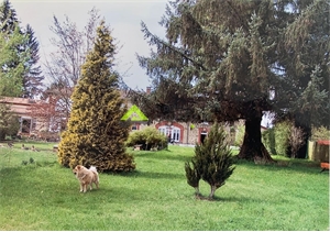 demeure à la vente -   23460  SAINT YRIEIX LA MONTAGNE, surface 296 m2 vente demeure - UBI474387530